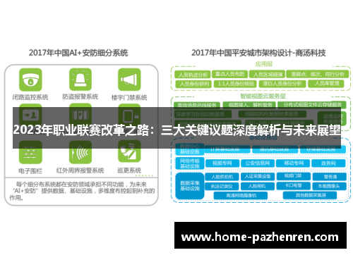 2023年职业联赛改革之路：三大关键议题深度解析与未来展望