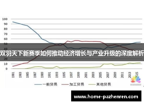 双羽天下新赛季如何推动经济增长与产业升级的深度解析