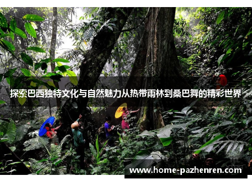 探索巴西独特文化与自然魅力从热带雨林到桑巴舞的精彩世界