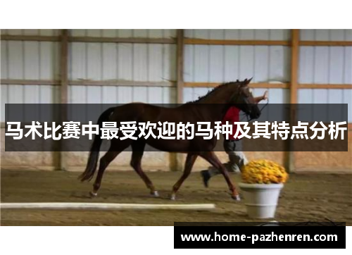 马术比赛中最受欢迎的马种及其特点分析