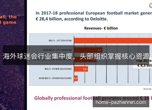 海外球迷会行业集中度，头部组织掌握核心资源